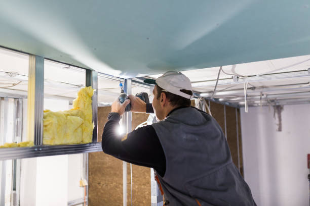 Best Residential Insulation in Beaufort, SC