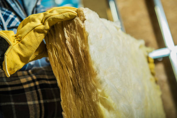 Best Insulation Maintenance and Repair in Beaufort, SC